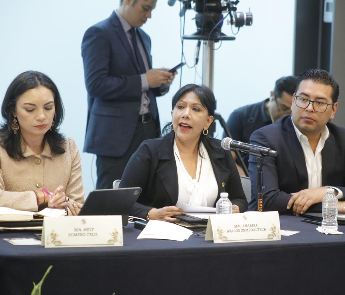 No puede entenderse la historia de México sin nuestros pueblos indígenas: Senadora Anabell Ávalos